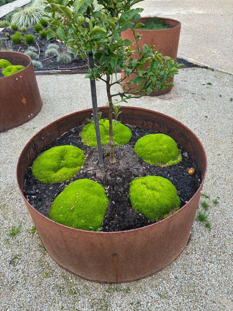 18e0d98f-c26e-4ee6-8803-5e1f5b600e5e-Planters-2