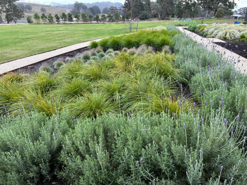 planting02